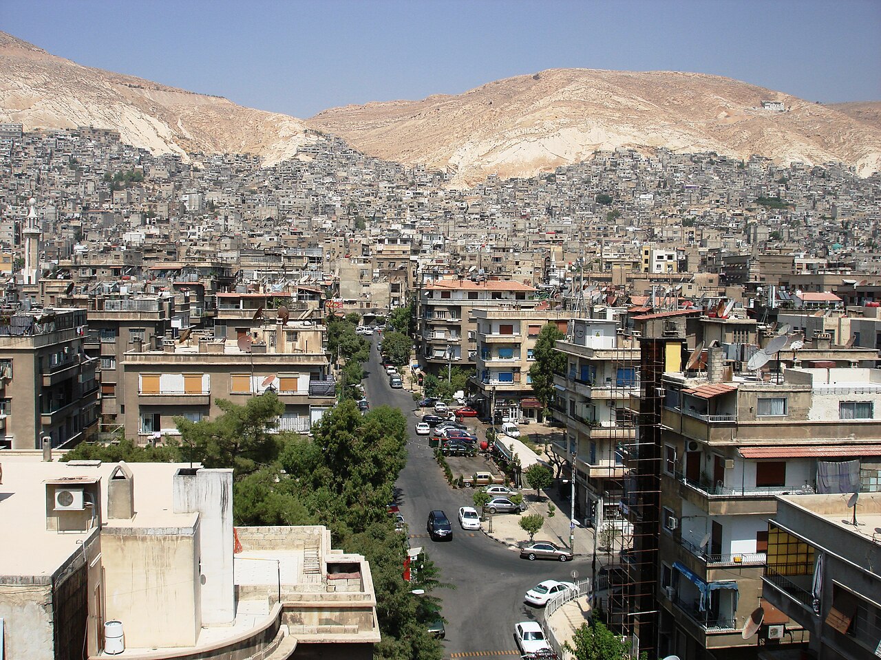 Фото: commons.wikimedia.org