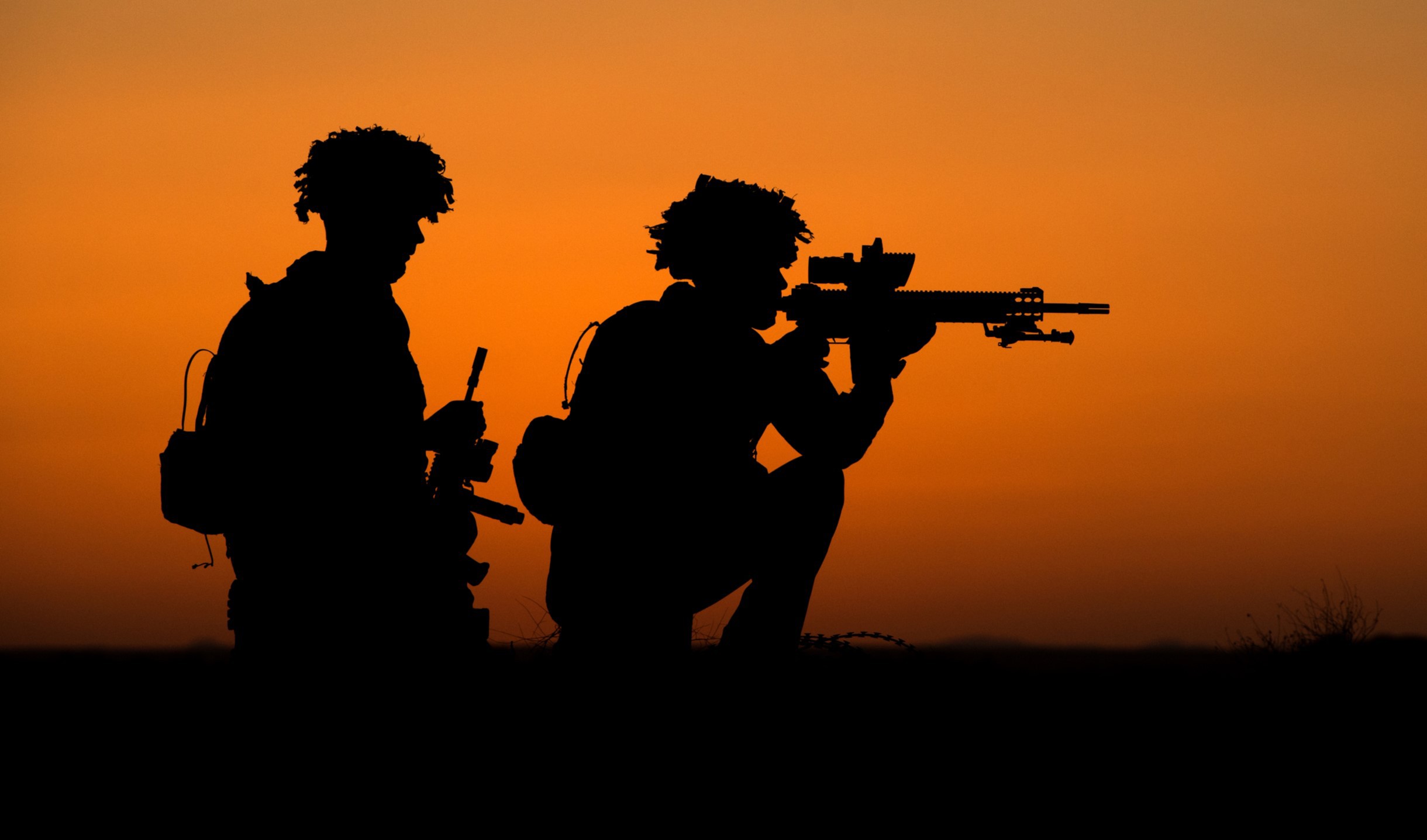 Фото: commons.wikimedia.org / Cpl Daniel Wiepen