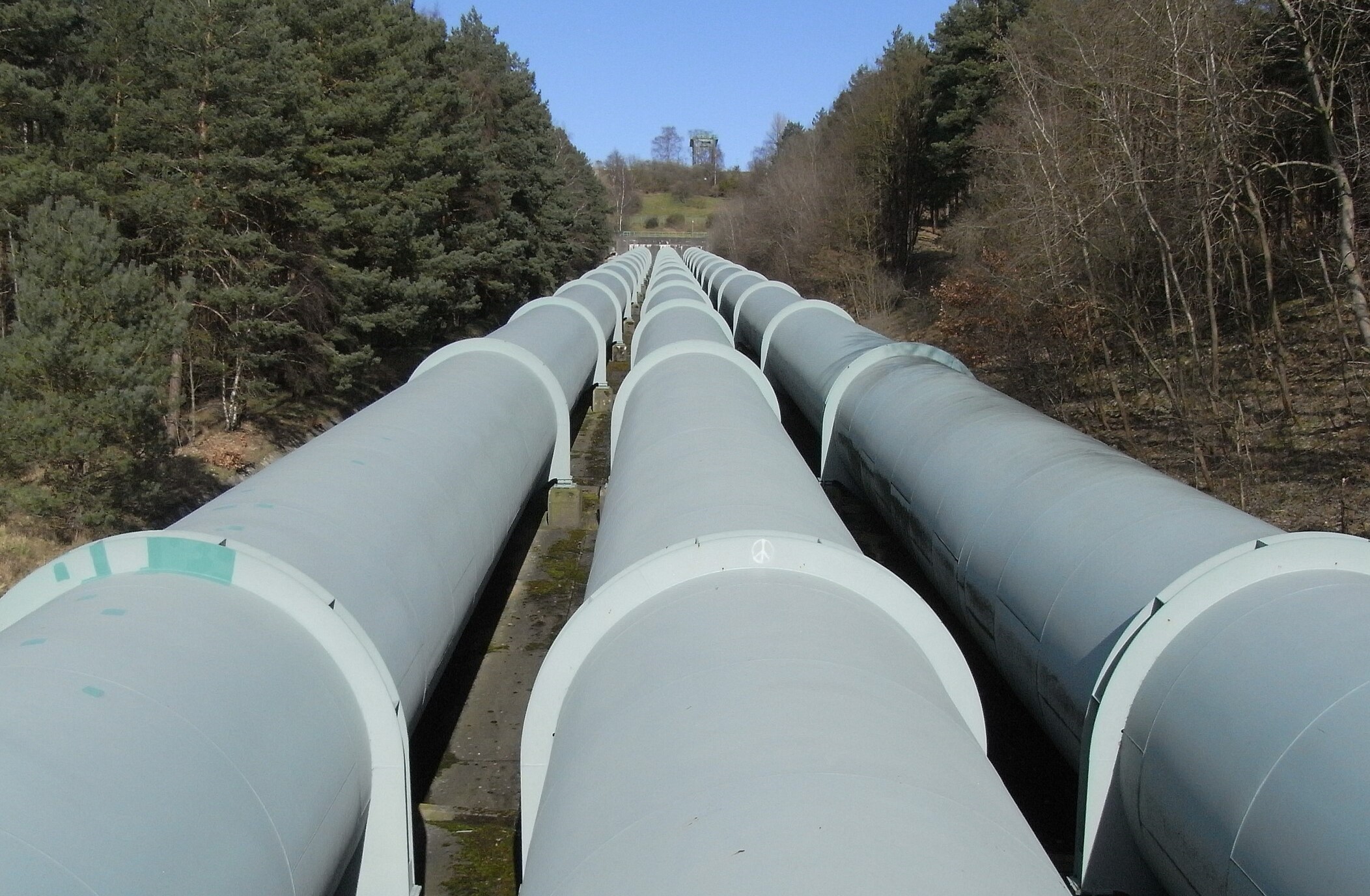 Фото: commons.wikimedia.org / Quartl