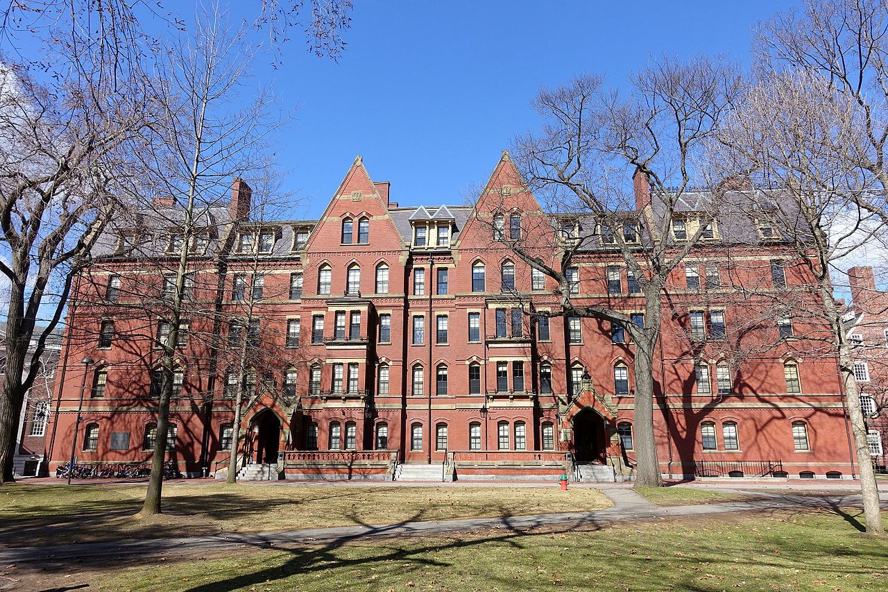 Фото: commons.wikimedia.org / Daderot