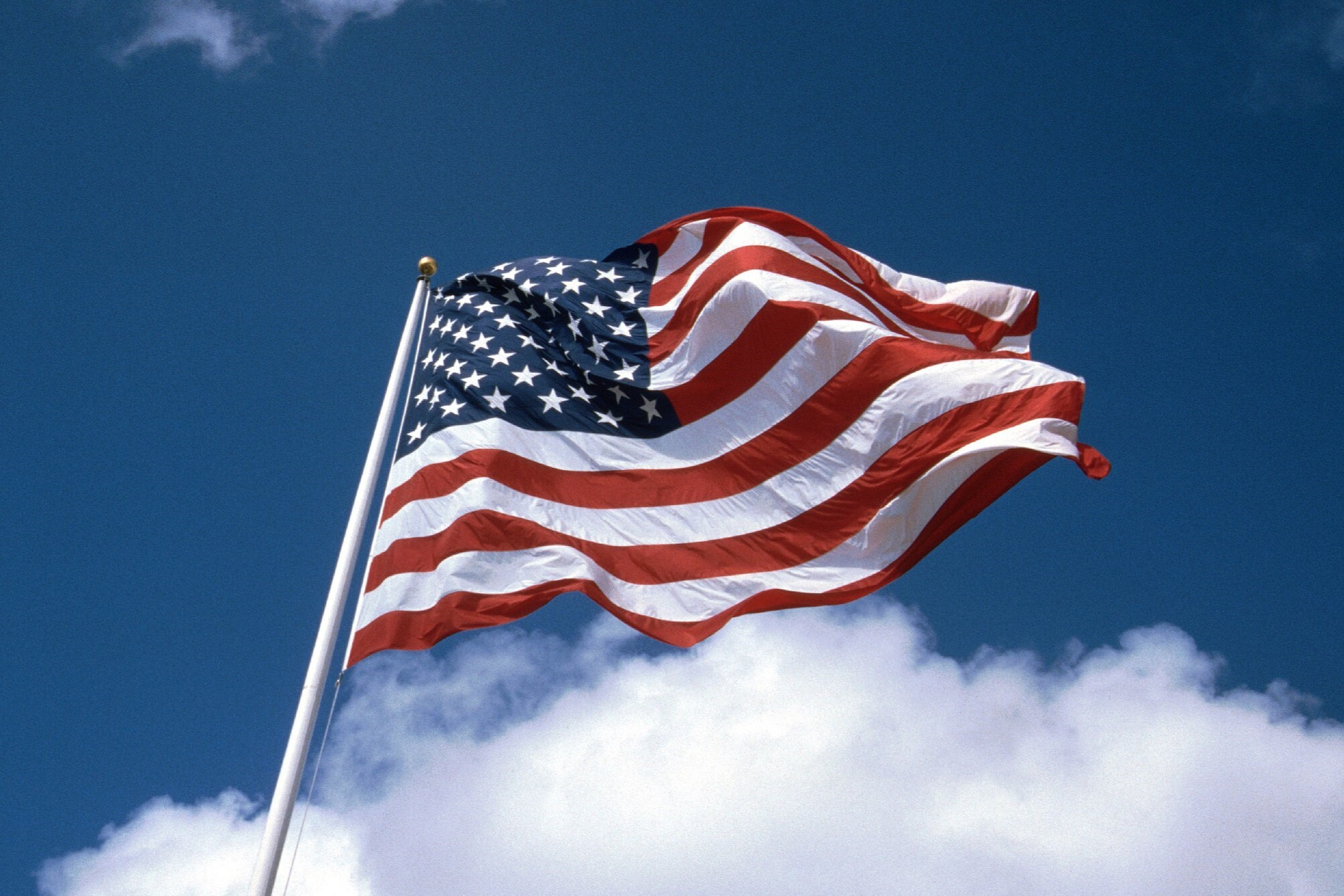 Фото: commons.wikimedia.org / FrankBrueck