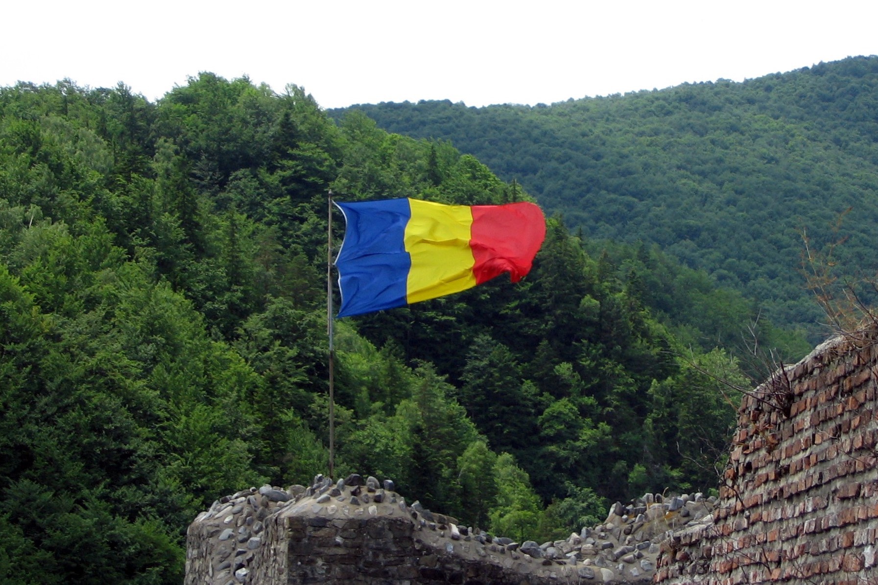 Фото: Flickr / Andrei Stroe