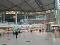 Зазывал-таксистов начали штрафовать в аэропортах Подмосковья