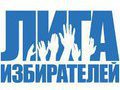  За честные выборы : хоть кол на голове теши